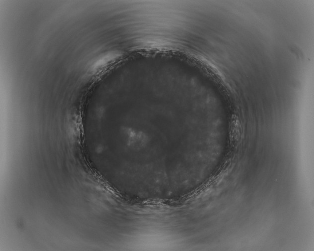 X0000111460918200907271248