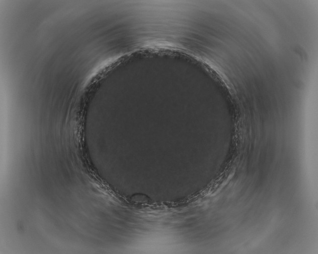 X0000111460919200907271248