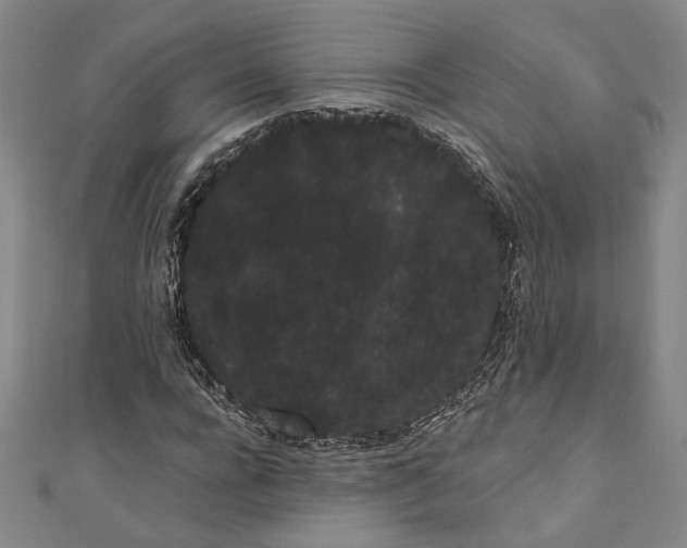 X0000111460920200907271248