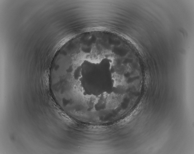 X0000111460921200907271248