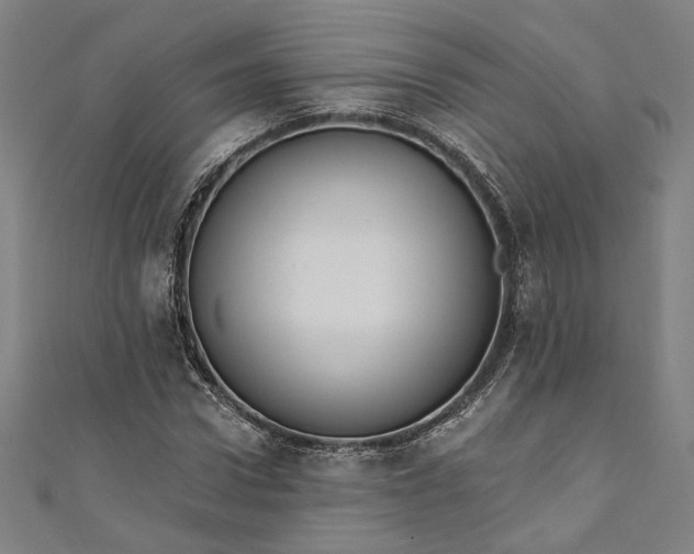 X0000111460922200907271248