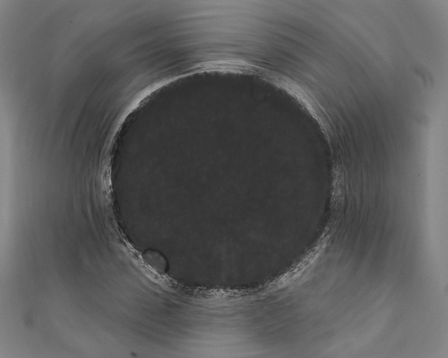 X0000111460923200907271248