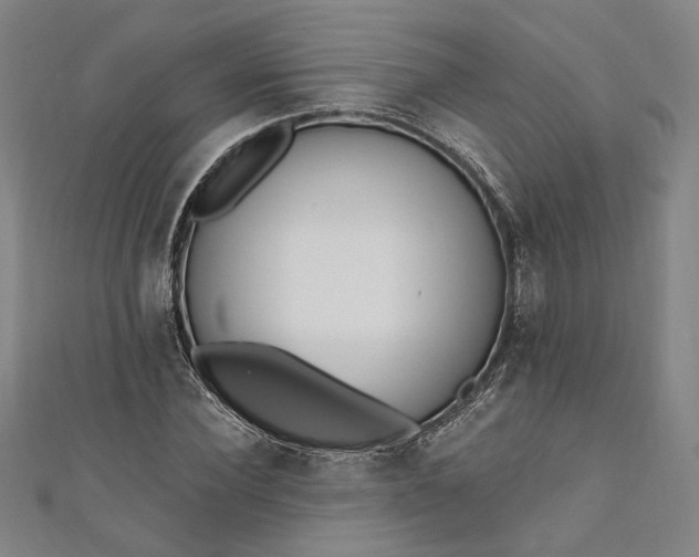 X0000111460924200907271248