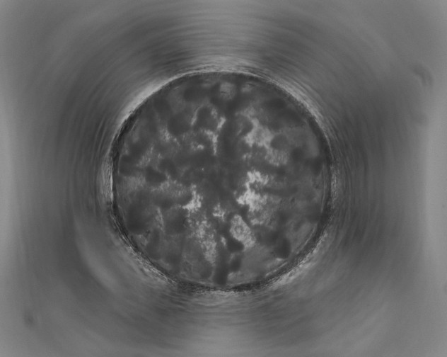 X0000111460925200907271248