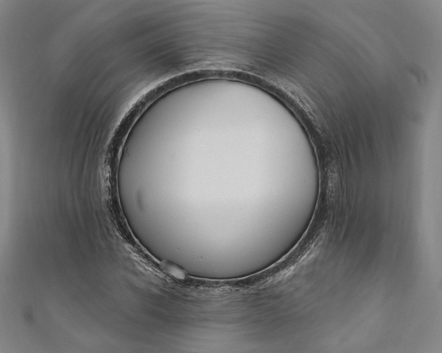 X0000111460926200907271248