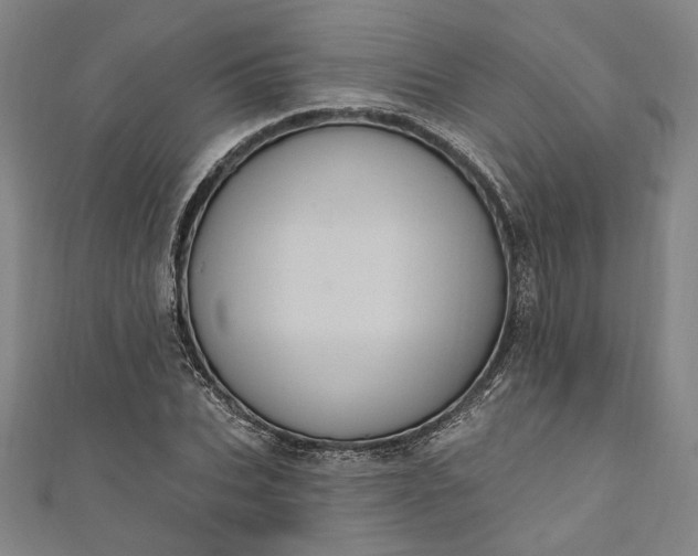 X0000111460927200907271248