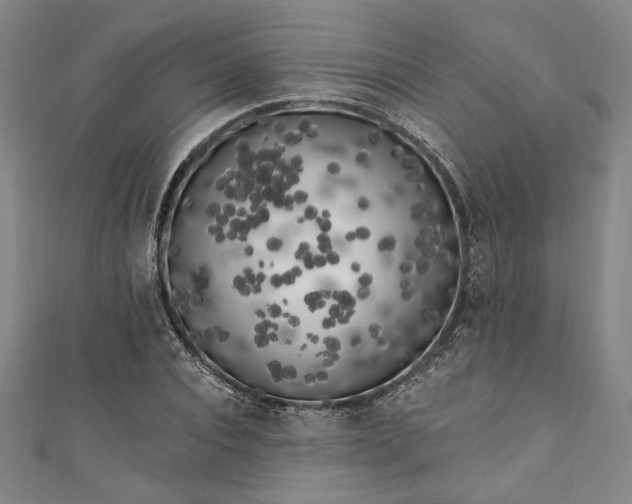 X0000111460928200907271248