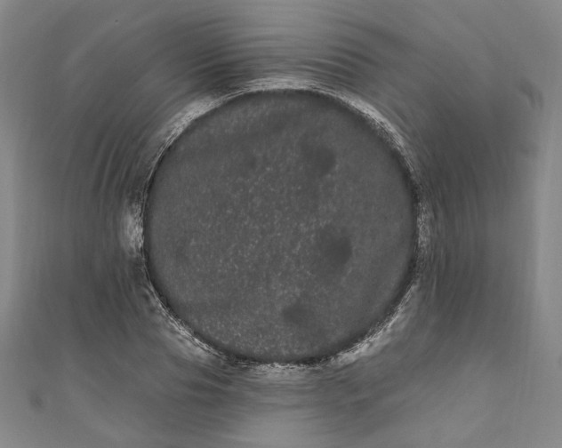 X0000111460929200907271248