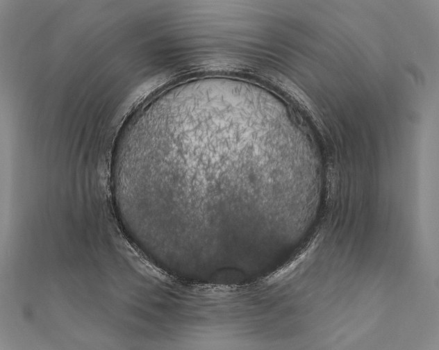 X0000111460930200907271248