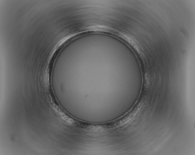 X0000111460931200907271248