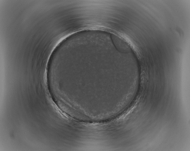 X0000111460932200907271248