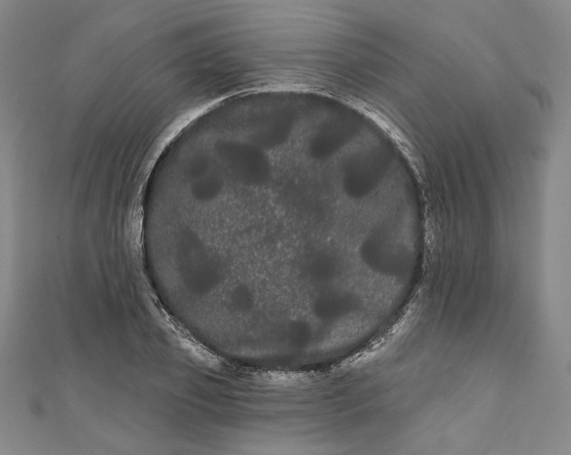 X0000111460933200907271248