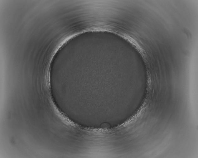 X0000111460934200907271248