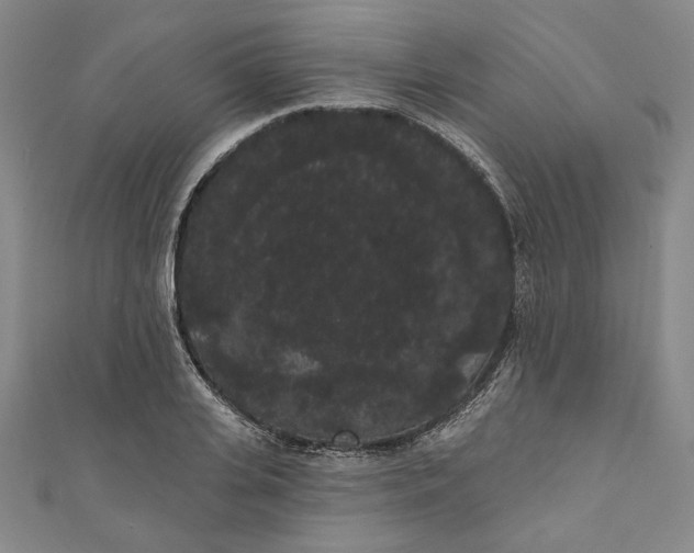 X0000111460935200907271248