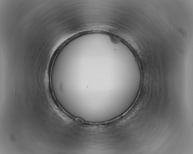 X0000111460936200907271248