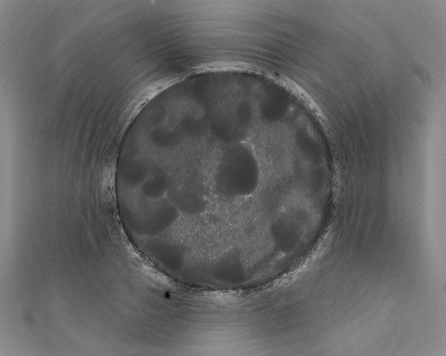 X0000111460937200907271248