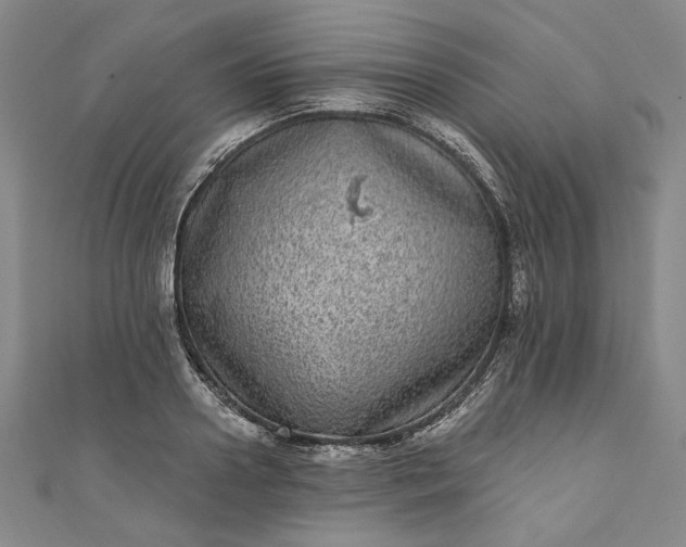 X0000111460938200907271248