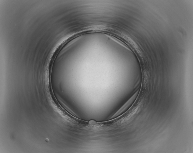 X0000111460939200907271248