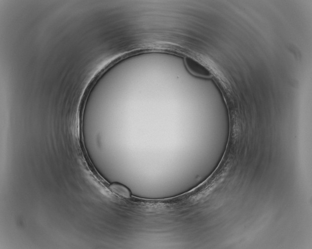 X0000111460940200907271248