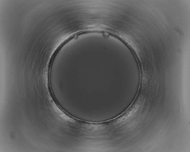 X0000111460941200907271248