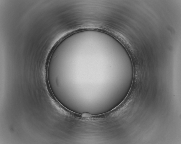 X0000111460942200907271248