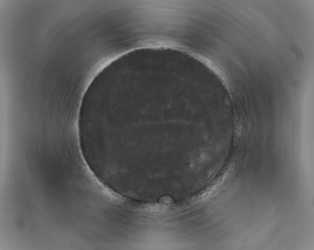 X0000111460943200907271248