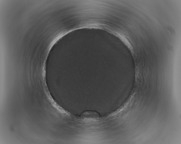 X0000111460944200907271248