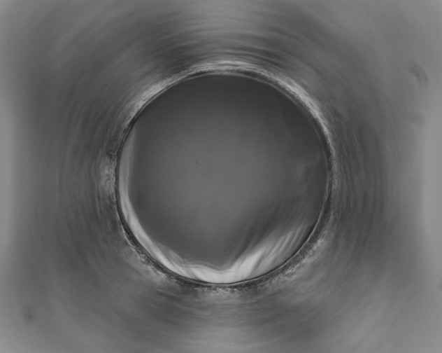 X0000111460945200907271249