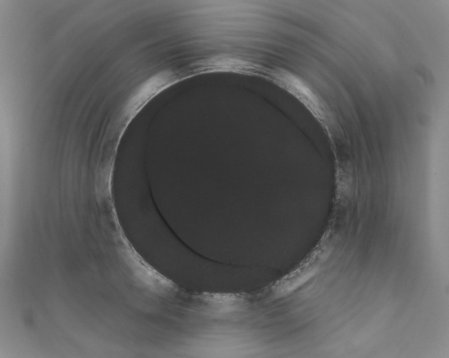 X0000111460946200907271249