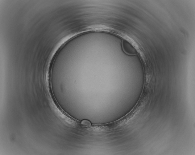 X0000111460947200907271249