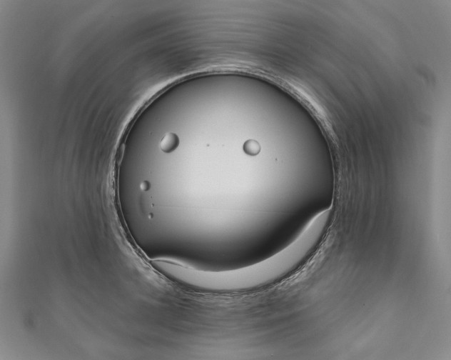 X0000111460948200907271249