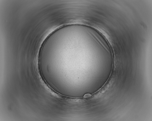 X0000111460949200907271249