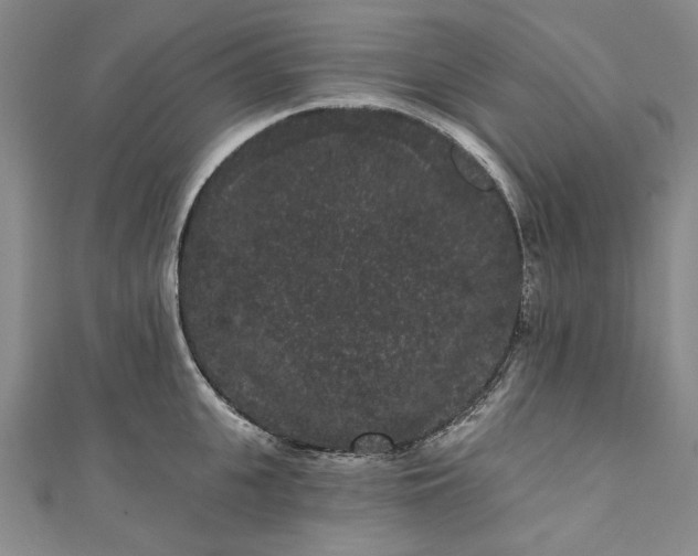 X0000111460951200907271249