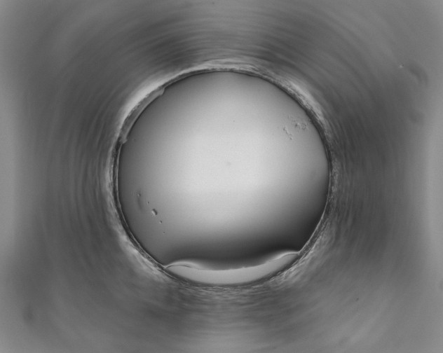 X0000111460952200907271249