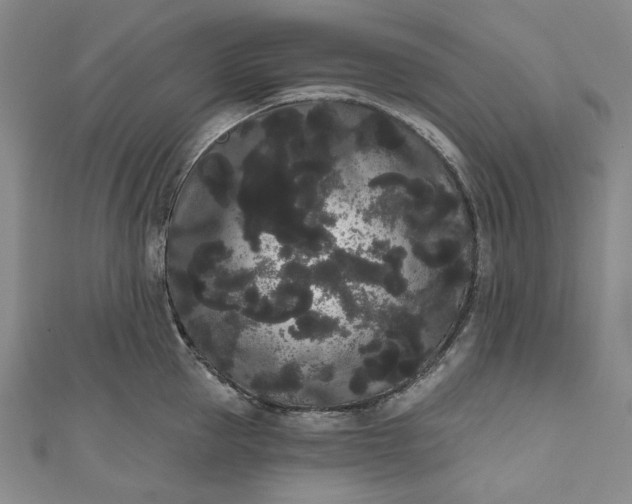 X0000111460953200907271249