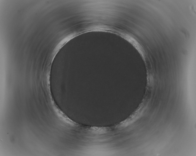 X0000111460954200907271249