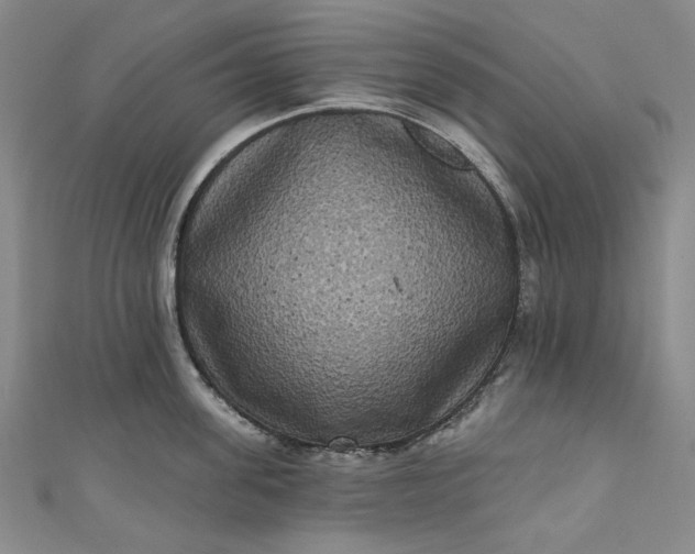 X0000111460955200907271249