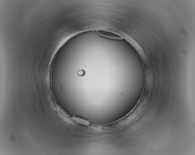 X0000111460956200907271249