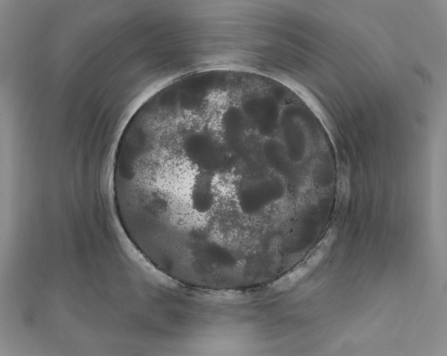 X0000111460957200907271249