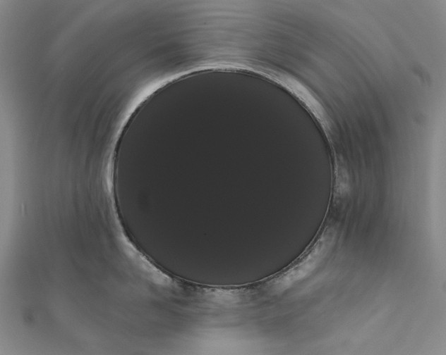 X0000111460958200907271249