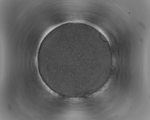 X0000111460959200907271249