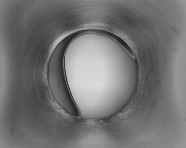 X0000111460960200907271249