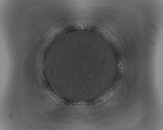 X0000111460961200907271248