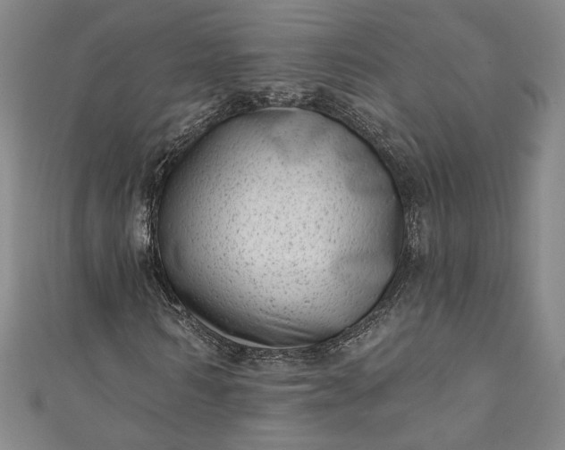 X0000111460962200907271248