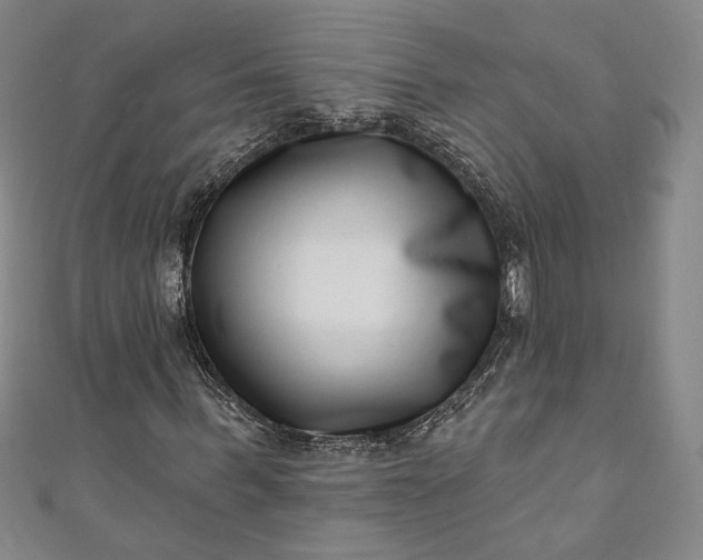 X0000111460963200907271248