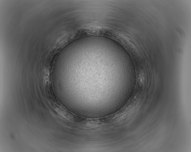 X0000111460964200907271248