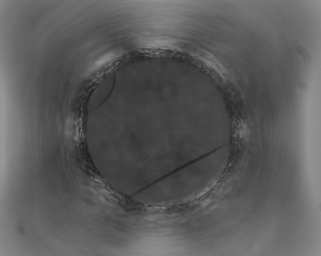 X0000111460965200907271248