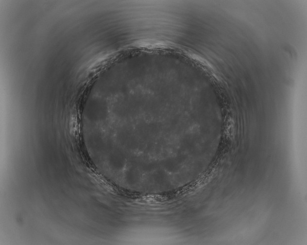 X0000111460966200907271248