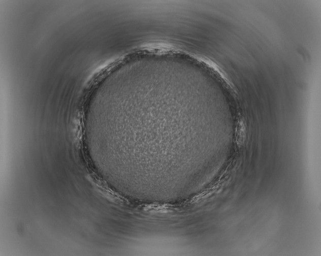 X0000111460967200907271248