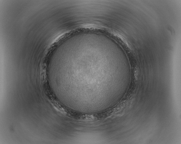 X0000111460968200907271248